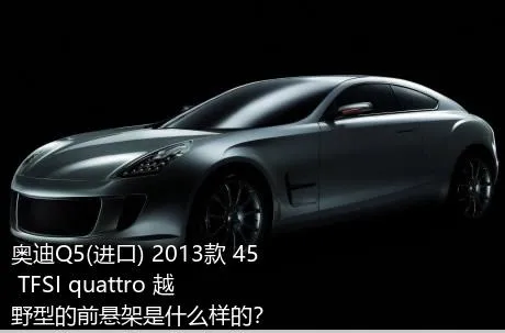 奥迪Q5(进口) 2013款 45 TFSI quattro 越野型的前悬架是什么样的？