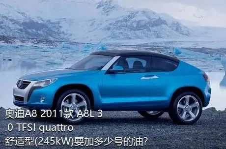 奥迪A8 2011款 A8L 3.0 TFSI quattro舒适型(245kW)要加多少号的油？