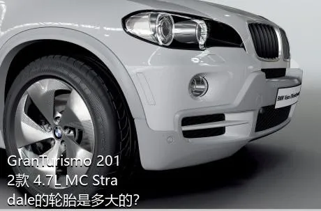 GranTurismo 2012款 4.7L MC Stradale的轮胎是多大的？