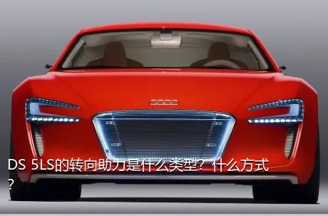 DS 5LS的转向助力是什么类型？什么方式？