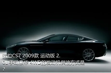 猎豹CS7 2009款 运动版 2.0L 手动豪华 4WD的发动机供油方式是？