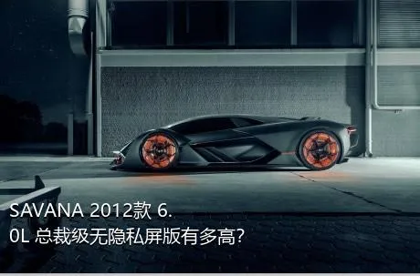 SAVANA 2012款 6.0L 总裁级无隐私屏版有多高？