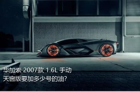 毕加索 2007款 1.6L 手动天窗版要加多少号的油？