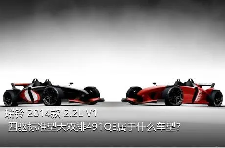 瑞铃 2014款 2.2L V1 四驱标准型大双排491QE属于什么车型？