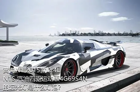 黄海N1 2015款 2.4L N1S 汽油四驱运动版4G69S4N的远光灯是什么灯泡？