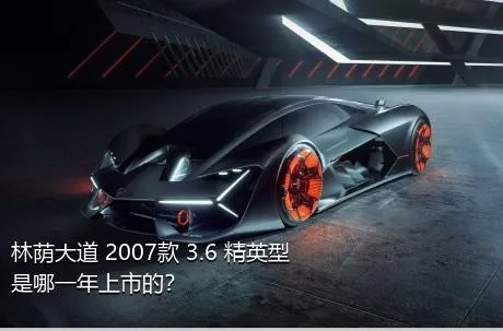 林荫大道 2007款 3.6 精英型是哪一年上市的？