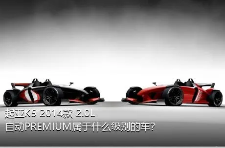 起亚K5 2014款 2.0L 自动PREMIUM属于什么级别的车？