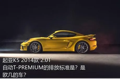 起亚K5 2014款 2.0T 自动T-PREMIUM的排放标准是？是欧几的车？