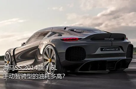 海马S5 2014款 1.6L 手动智骋型的油耗多高？