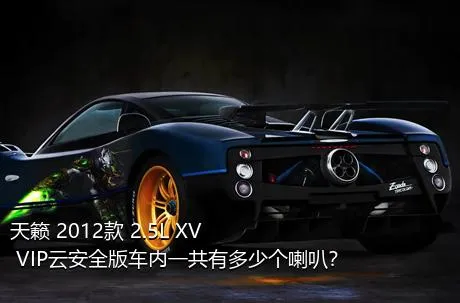 天籁 2012款 2.5L XV VIP云安全版车内一共有多少个喇叭？