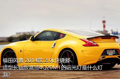 福田风景 2014款 2.0L快捷舒适型长轴版高顶4Q20M1的远光灯是什么灯泡？