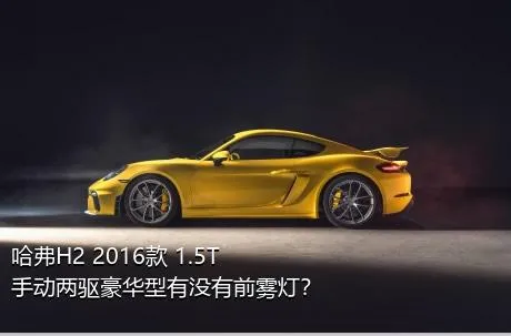 哈弗H2 2016款 1.5T 手动两驱豪华型有没有前雾灯？