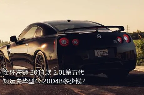 金杯海狮 2011款 2.0L第五代翔运豪华型4G20D4B多少钱？