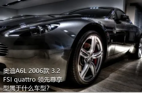 奥迪A6L 2006款 3.2 FSI quattro 领先尊享型属于什么车型？