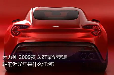 大力神 2009款 3.2T豪华型短轴的近光灯是什么灯泡？