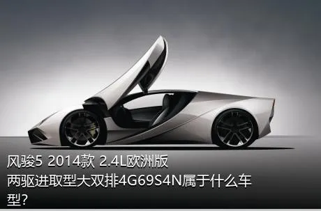 风骏5 2014款 2.4L欧洲版 两驱进取型大双排4G69S4N属于什么车型？