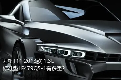 力帆T11 2013款 1.3L标准型LF479Q5-1有多重？