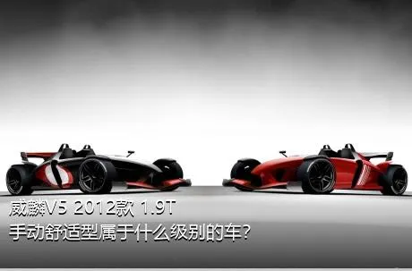 威麟V5 2012款 1.9T 手动舒适型属于什么级别的车？