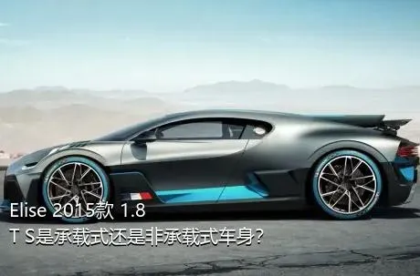 Elise 2015款 1.8T S是承载式还是非承载式车身？