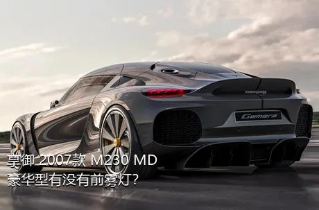 享御 2007款 M230 MD豪华型有没有前雾灯？