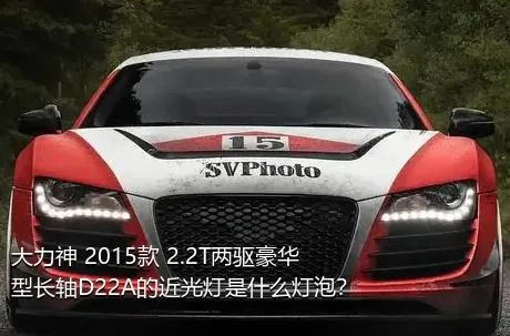 大力神 2015款 2.2T两驱豪华型长轴D22A的近光灯是什么灯泡？