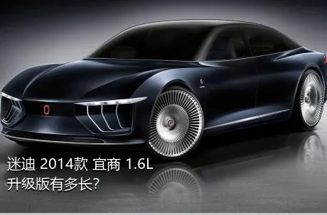 迷迪 2014款 宜商 1.6L 升级版有多长？