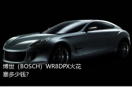博世（BOSCH）WR8DPX火花塞多少钱？
