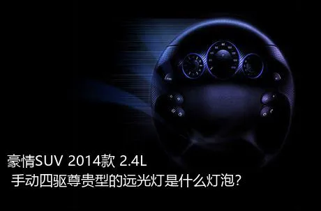 豪情SUV 2014款 2.4L 手动四驱尊贵型的远光灯是什么灯泡？