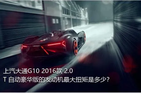 上汽大通G10 2016款 2.0T 自动豪华版的发动机最大扭矩是多少？