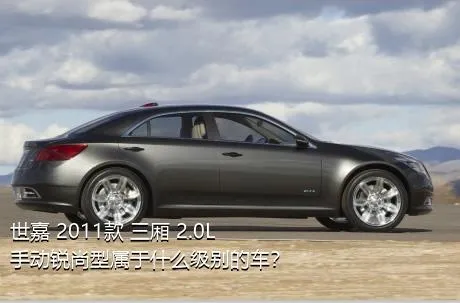 世嘉 2011款 三厢 2.0L 手动锐尚型属于什么级别的车？