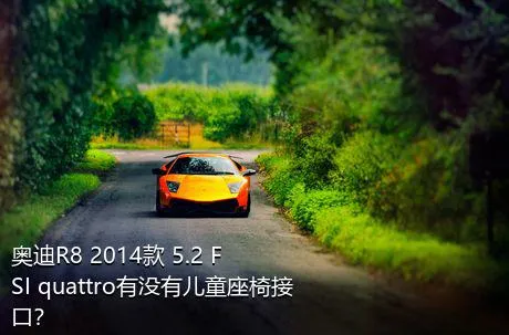 奥迪R8 2014款 5.2 FSI quattro有没有儿童座椅接口？