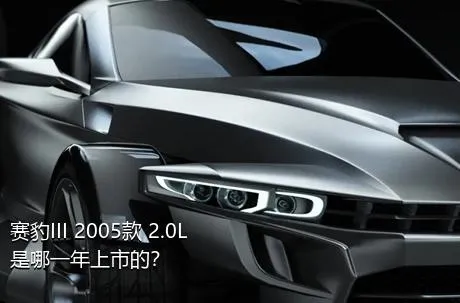 赛豹III 2005款 2.0L是哪一年上市的？