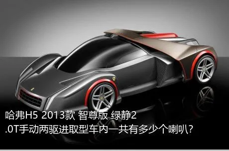 哈弗H5 2013款 智尊版 绿静2.0T手动两驱进取型车内一共有多少个喇叭？