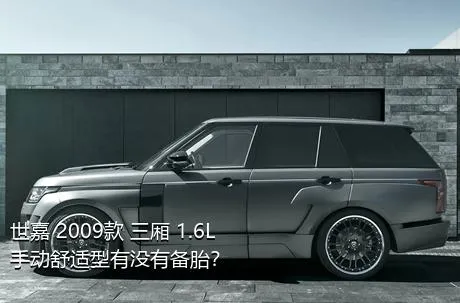 世嘉 2009款 三厢 1.6L 手动舒适型有没有备胎？