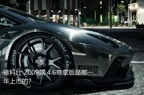 雅科仕 2009款 4.6尊享版是哪一年上市的？