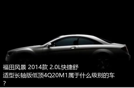 福田风景 2014款 2.0L快捷舒适型长轴版低顶4Q20M1属于什么级别的车？