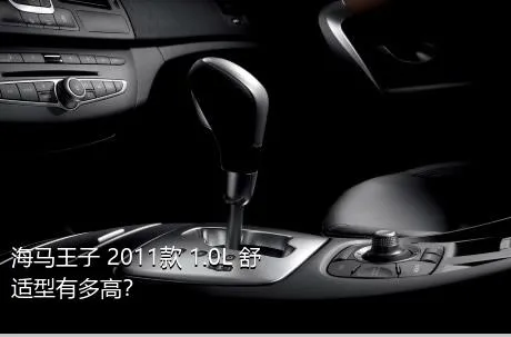 海马王子 2011款 1.0L 舒适型有多高？