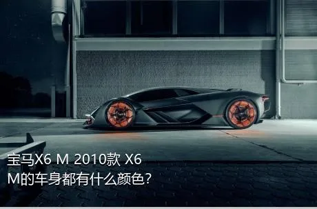 宝马X6 M 2010款 X6 M的车身都有什么颜色？