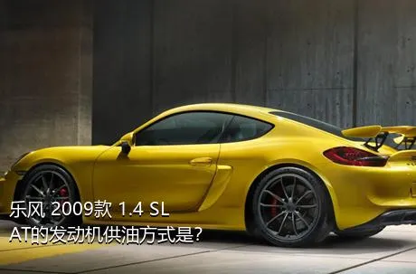 乐风 2009款 1.4 SL AT的发动机供油方式是？