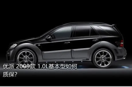 优派 2009款 1.0L基本型如何质保？