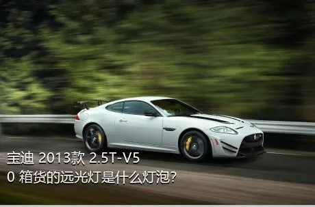 宝迪 2013款 2.5T-V50 箱货的远光灯是什么灯泡？