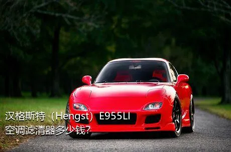 汉格斯特（Hengst）E955LI空调滤清器多少钱？