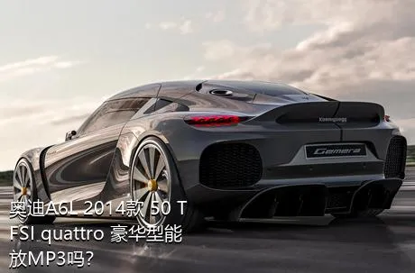 奥迪A6L 2014款 50 TFSI quattro 豪华型能放MP3吗？