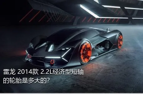 雷龙 2014款 2.2L经济型短轴的轮胎是多大的？