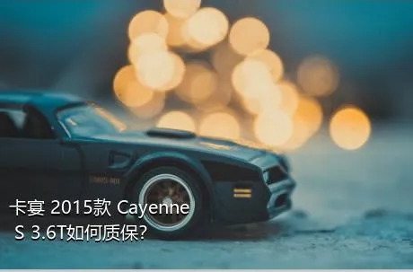 卡宴 2015款 Cayenne S 3.6T如何质保？