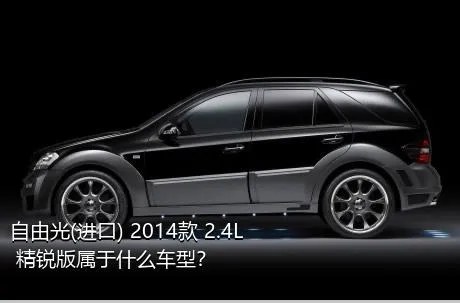 自由光(进口) 2014款 2.4L 精锐版属于什么车型？