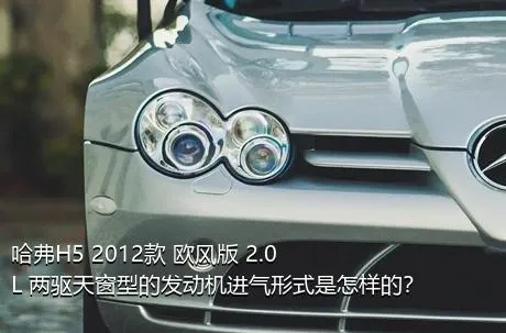 哈弗H5 2012款 欧风版 2.0L 两驱天窗型的发动机进气形式是怎样的？