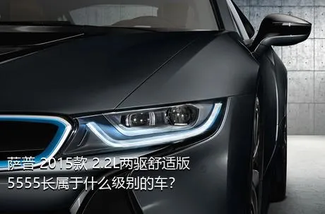 萨普 2015款 2.2L两驱舒适版5555长属于什么级别的车？