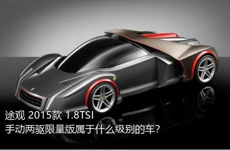 途观 2015款 1.8TSI 手动两驱限量版属于什么级别的车？