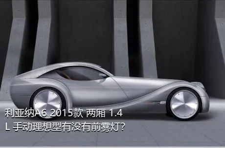 利亚纳A6 2015款 两厢 1.4L 手动理想型有没有前雾灯？